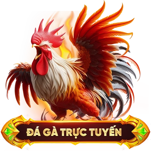đá gà trực tuyến 007WIN